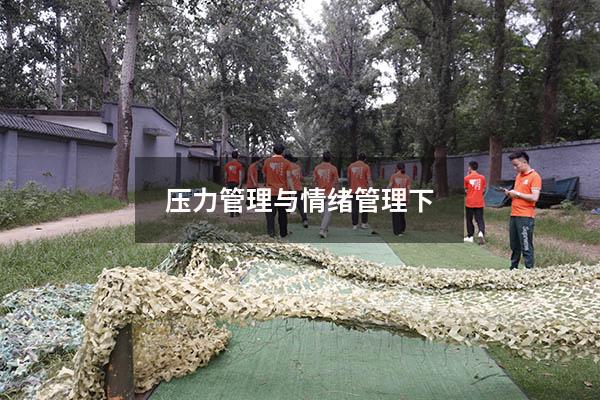 压力管理与情绪管理 下